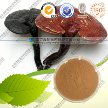 Polvo de polisacáridos Pure Ganoderma Lucidum